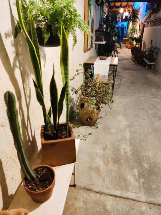 The Azul Flat Room Oaxaca Exterior foto